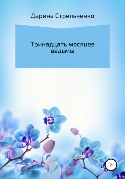 Тринадцать месяцев ведьмы - Дарина Александровна Стрельченко