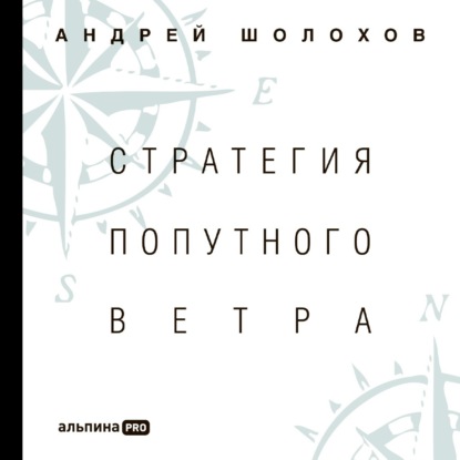 Стратегия попутного ветра. Как обнаружить или создать асимметрии, способные придать бизнесу ускорение — Андрей Шолохов