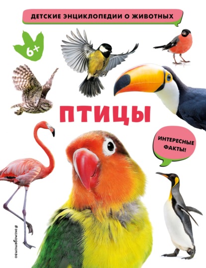 Птицы - Группа авторов