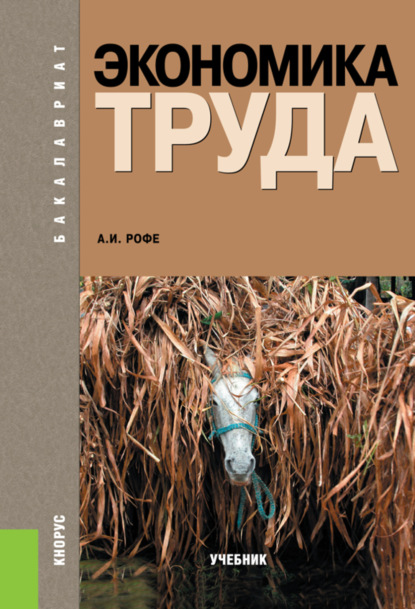 Экономика труда. (Бакалавриат). Учебник. — Александр Иосифович Рофе