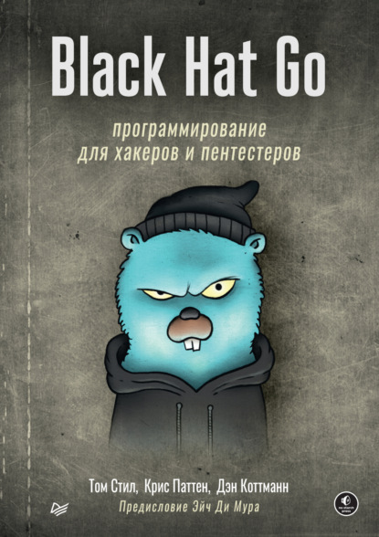 Black Hat Go. Программирование для хакеров и пентестеров (+ epub) - Том Стил