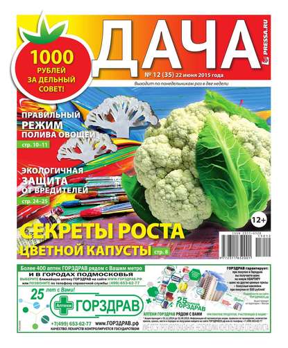 Дача Pressa.ru 12-2015 - Редакция газеты Дача Pressa.ru