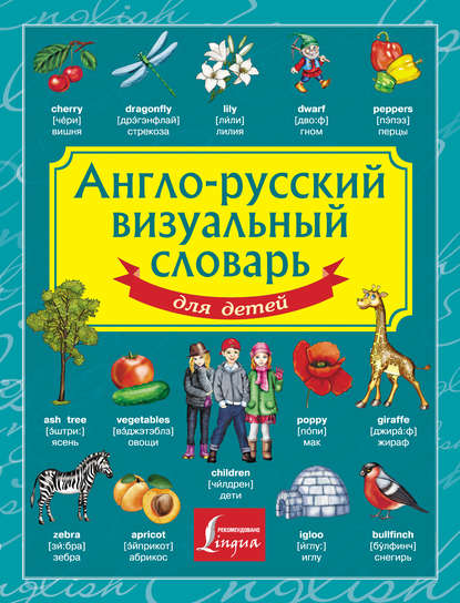 Англо-русский визуальный словарь для детей - Группа авторов