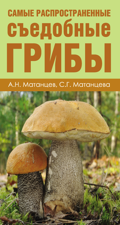 Самые распространенные съедобные грибы - Александр Матанцев