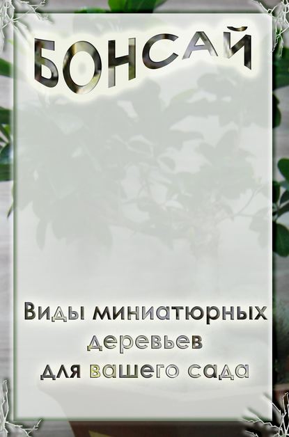 Виды миниатюрных деревьев для вашего сада - Илья Мельников