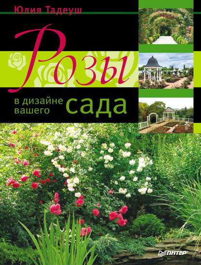 Розы в дизайне вашего сада - Юлия Тадеуш