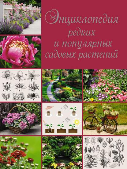 Энциклопедия редких и популярных садовых растений - О. В. Яковлева