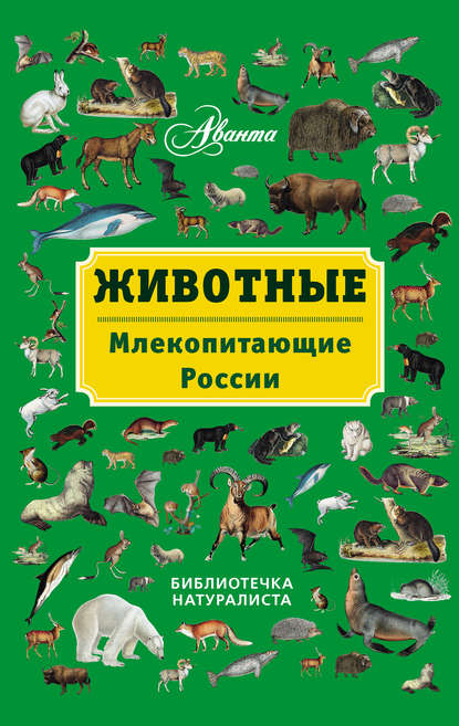 Животные. Млекопитающие России - В. Г. Бабенко