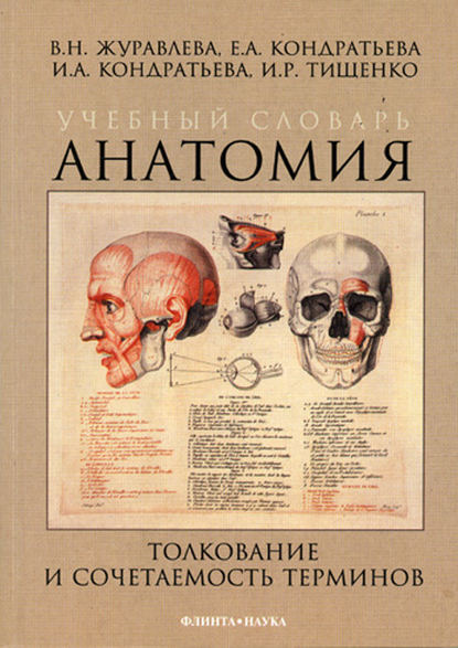 Учебный словарь. Анатомия. Толкование и сочетаемость терминов — Е. А. Кондратьева