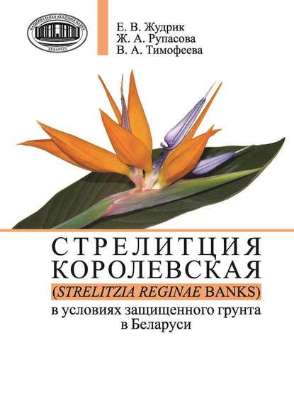 Стрелитция королевская (Strelitzia reginae Banks) в условиях защищенного грунта в Беларуси - Ж. А. Рупасова