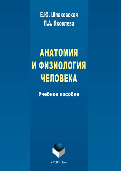 Анатомия и физиология человека - Л. А. Яковлева