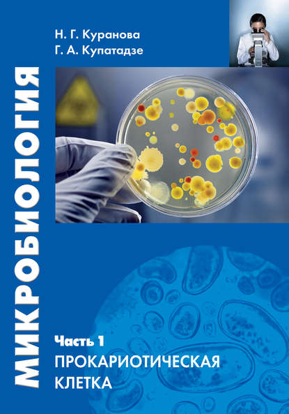 Микробиология. Часть 1. Прокариотическая клетка - Наталия Куранова
