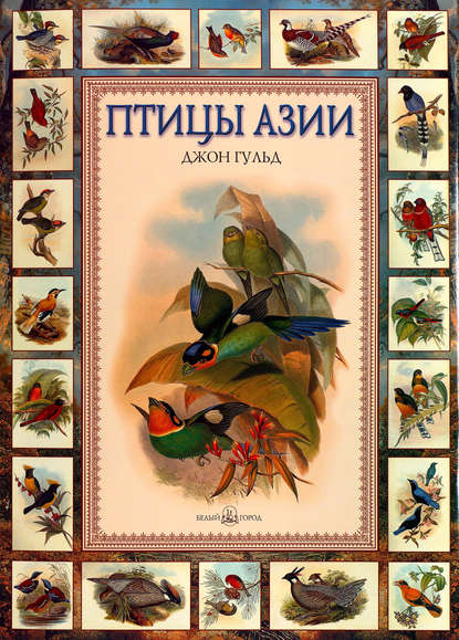 Птицы Азии - Евгений Коблик