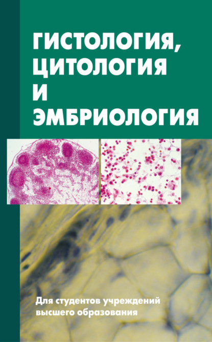 Гистология, цитология и эмбриология. Учебник - Сергей Зиматкин