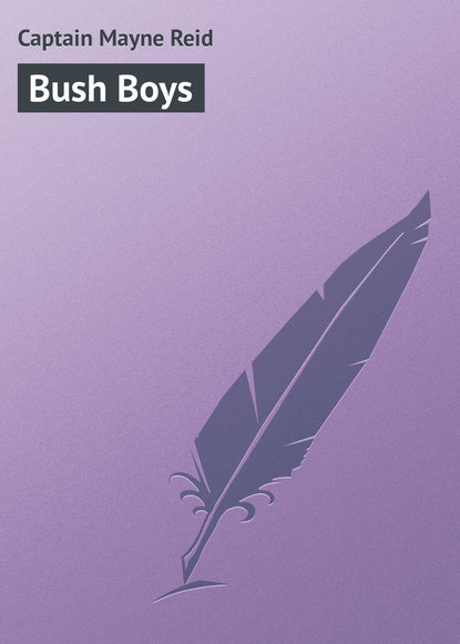 Bush Boys - Майн Рид