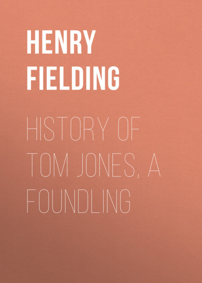 History of Tom Jones, a Foundling - Генри Филдинг