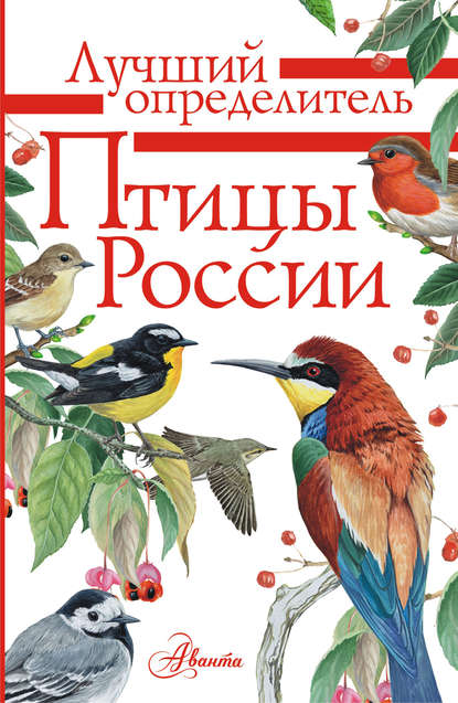 Птицы России — П. М. Волцит