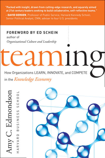 Teaming. How Organizations Learn, Innovate, and Compete in the Knowledge Economy - Эми Эдмондсон