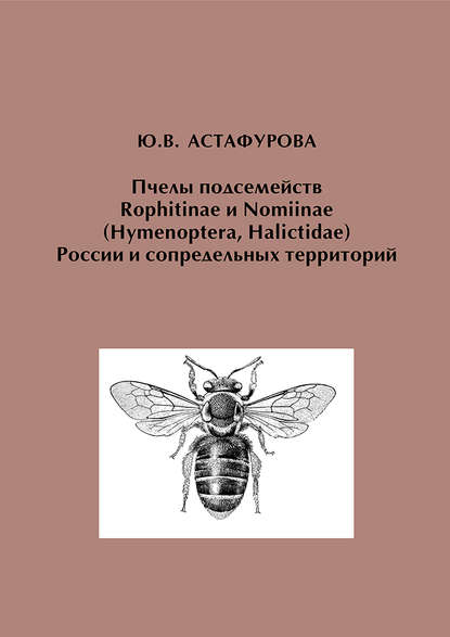 Пчелы подсемейств Rophitinae и Nomiinae (Hymenoptera, Halictidae) России и сопредельных территорий - Ю. В. Астафурова