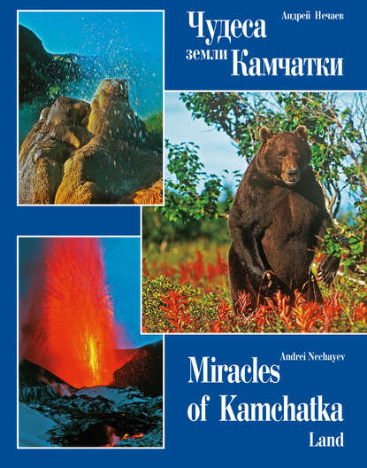 Чудеса земли Камчатки / Miracles of Kamchatka Land - Андрей Мартэнович Нечаев