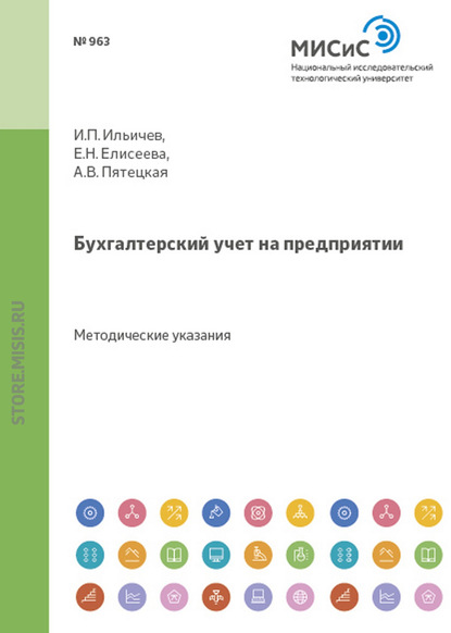 Бухгалтерский учет на предприятии — Евгения Николаевна Елисеева