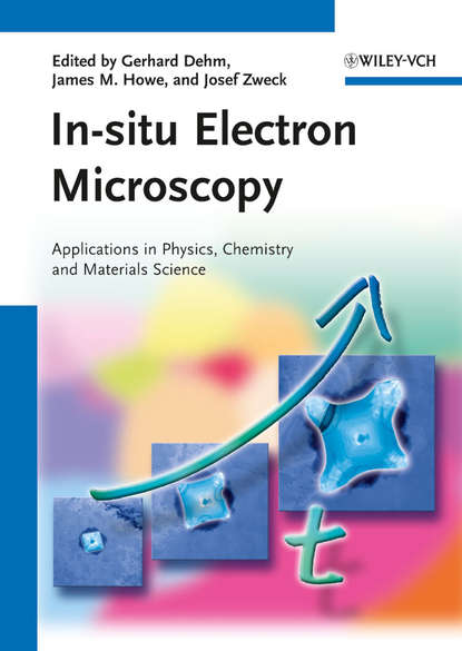 In-situ Electron Microscopy — Группа авторов
