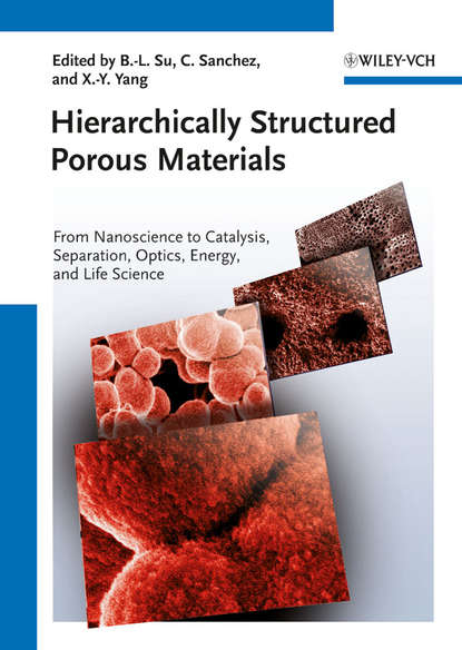 Hierarchically Structured Porous Materials - Группа авторов