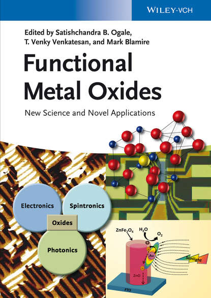 Functional Metal Oxides - Группа авторов