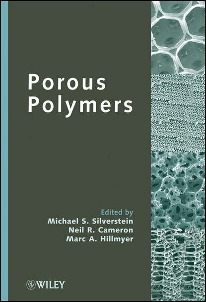 Porous Polymers - Группа авторов
