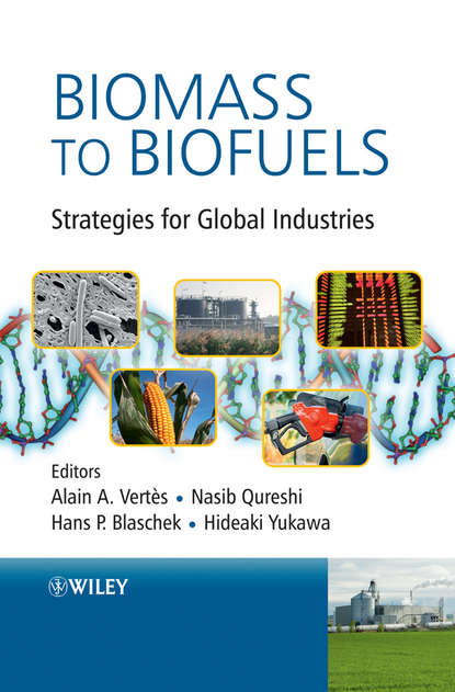 Biomass to Biofuels - Группа авторов