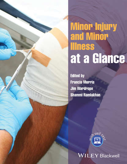 Minor Injury and Minor Illness at a Glance - Группа авторов