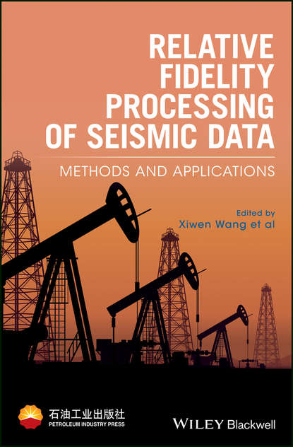 Relative Fidelity Processing of Seismic Data - Группа авторов