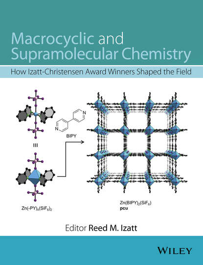 Macrocyclic and Supramolecular Chemistry - Группа авторов