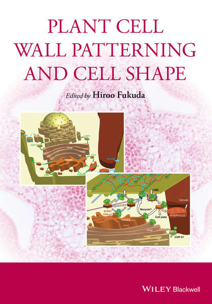 Plant Cell Wall Patterning and Cell Shape - Группа авторов