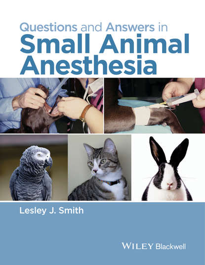 Questions and Answers in Small Animal Anesthesia - Группа авторов