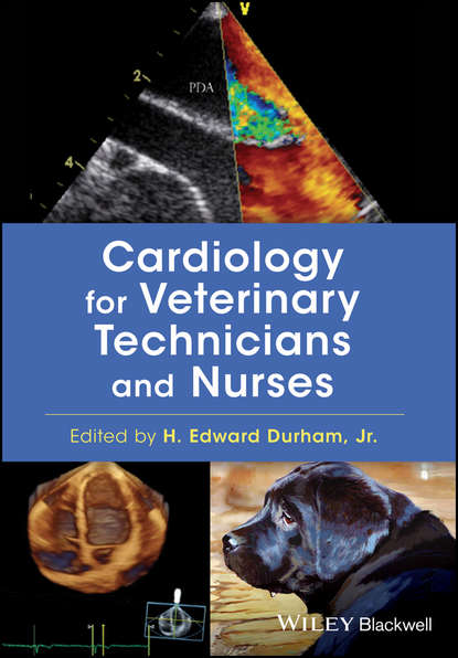 Cardiology for Veterinary Technicians and Nurses - Группа авторов
