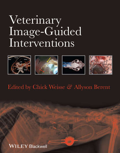 Veterinary Image-Guided Interventions - Группа авторов