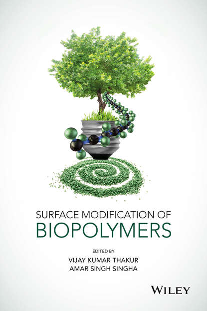 Surface Modification of Biopolymers - Группа авторов