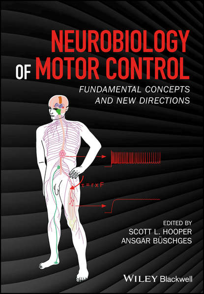 Neurobiology of Motor Control - Группа авторов