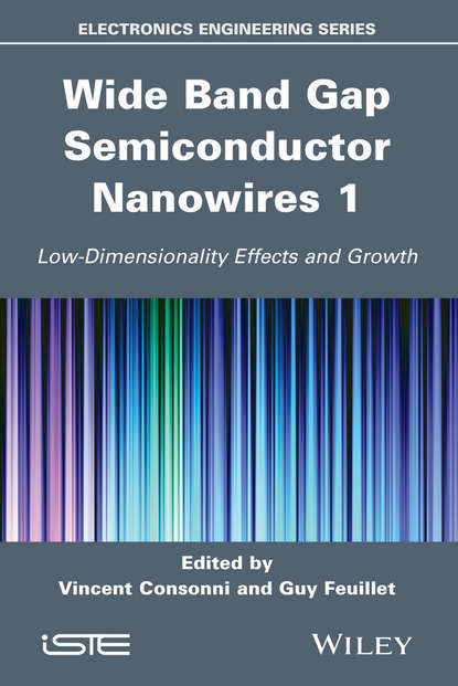 Wide Band Gap Semiconductor Nanowires 1 - Группа авторов