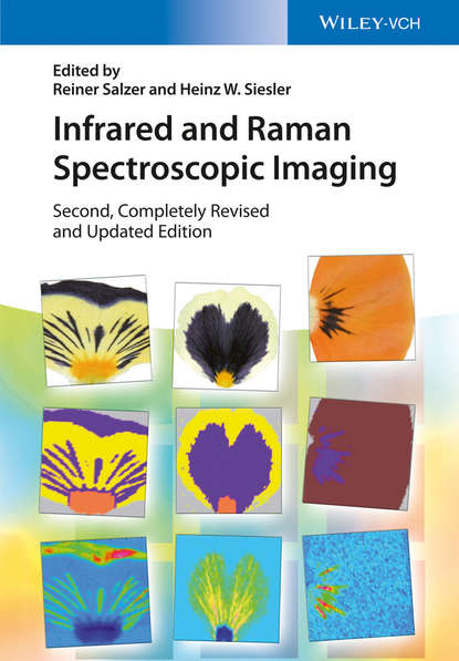 Infrared and Raman Spectroscopic Imaging - Группа авторов
