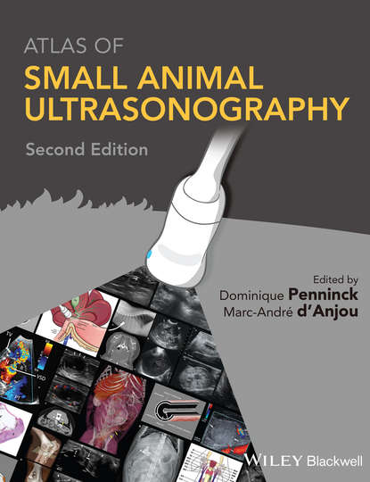 Atlas of Small Animal Ultrasonography - Группа авторов