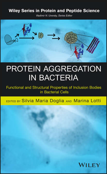 Protein Aggregation in Bacteria - Группа авторов