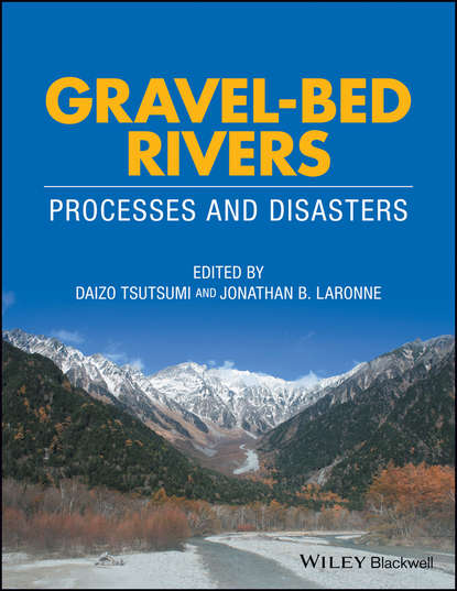 Gravel-Bed Rivers - Группа авторов