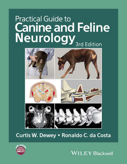 Practical Guide to Canine and Feline Neurology - Группа авторов