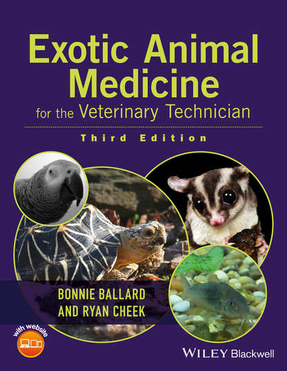 Exotic Animal Medicine for the Veterinary Technician - Группа авторов