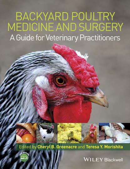 Backyard Poultry Medicine and Surgery - Группа авторов