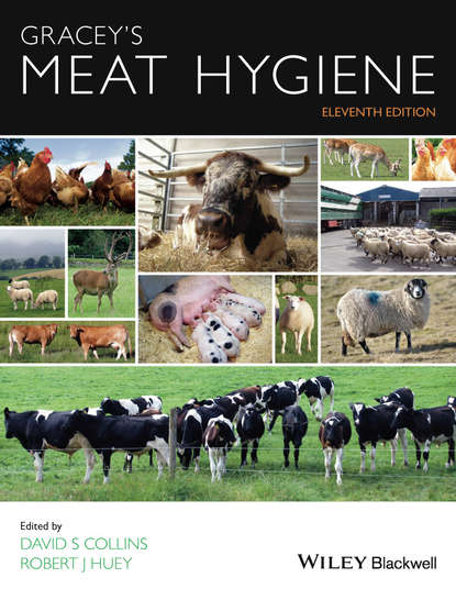 Gracey's Meat Hygiene - Группа авторов