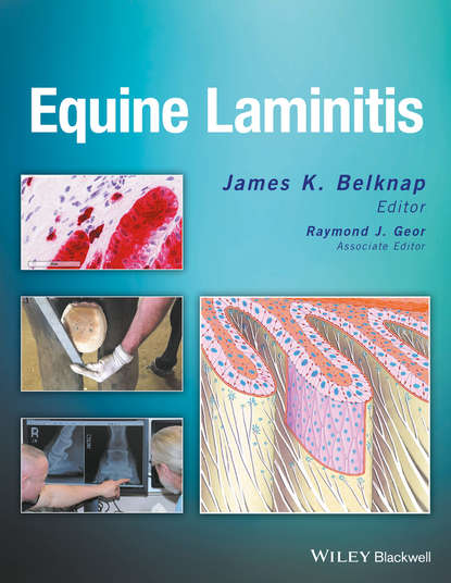 Equine Laminitis - Группа авторов