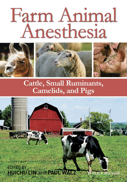 Farm Animal Anesthesia - Группа авторов